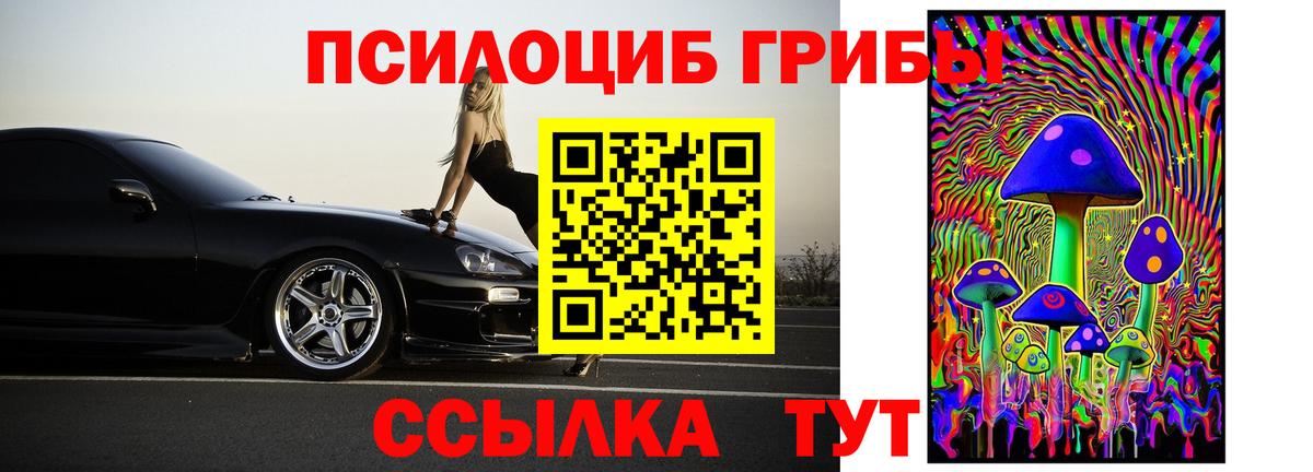 Псилоцибиновые грибы Magic Shrooms  Вход с VPN  Богданович 